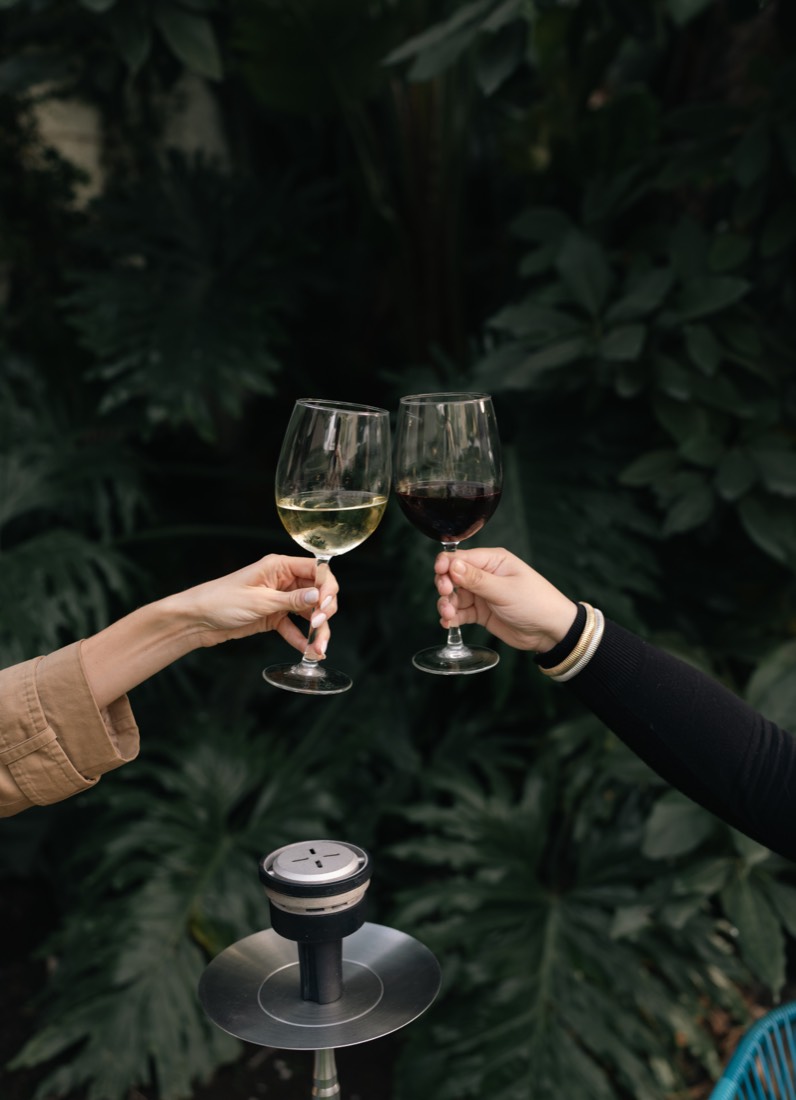 Dos copas de vino brindando frente a un muro de plantas